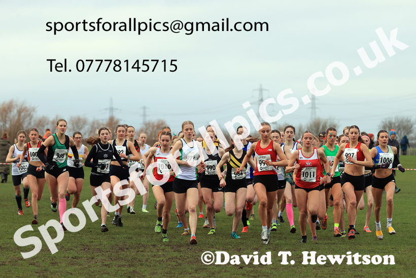 Junior Womens 2026 Northern Cross Country Champs., Pontefract Racecourse, Pontefract. Photo: David T. Hewitson/Sports for All Pics